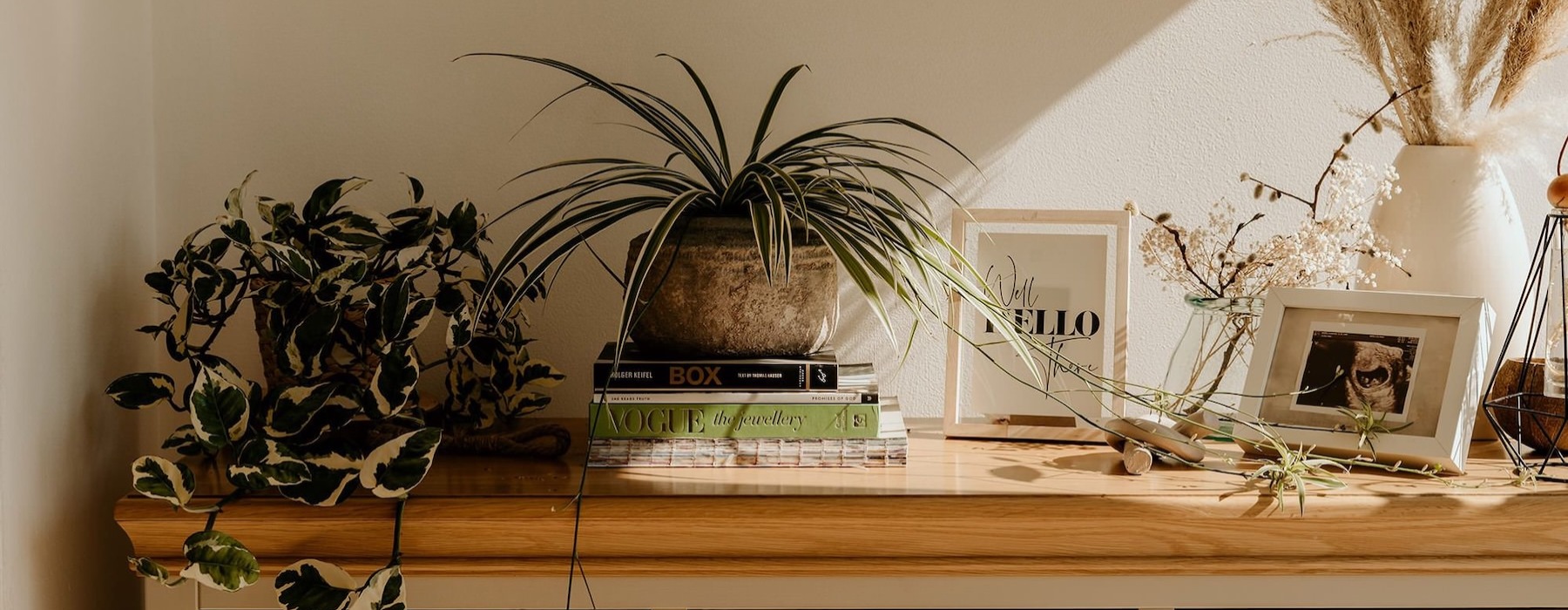 a dresser with plants on top